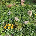 Plantagengut Hosterwitz