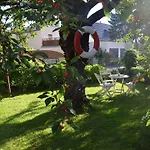 Adele - Gaestezimmer Und Pension Am Elberadweg