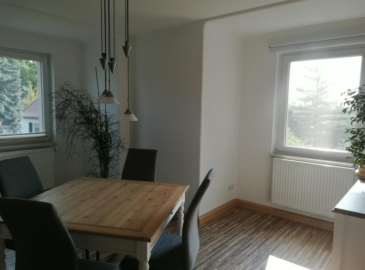 Apartment Fewo Am Wilden Mann Dresden