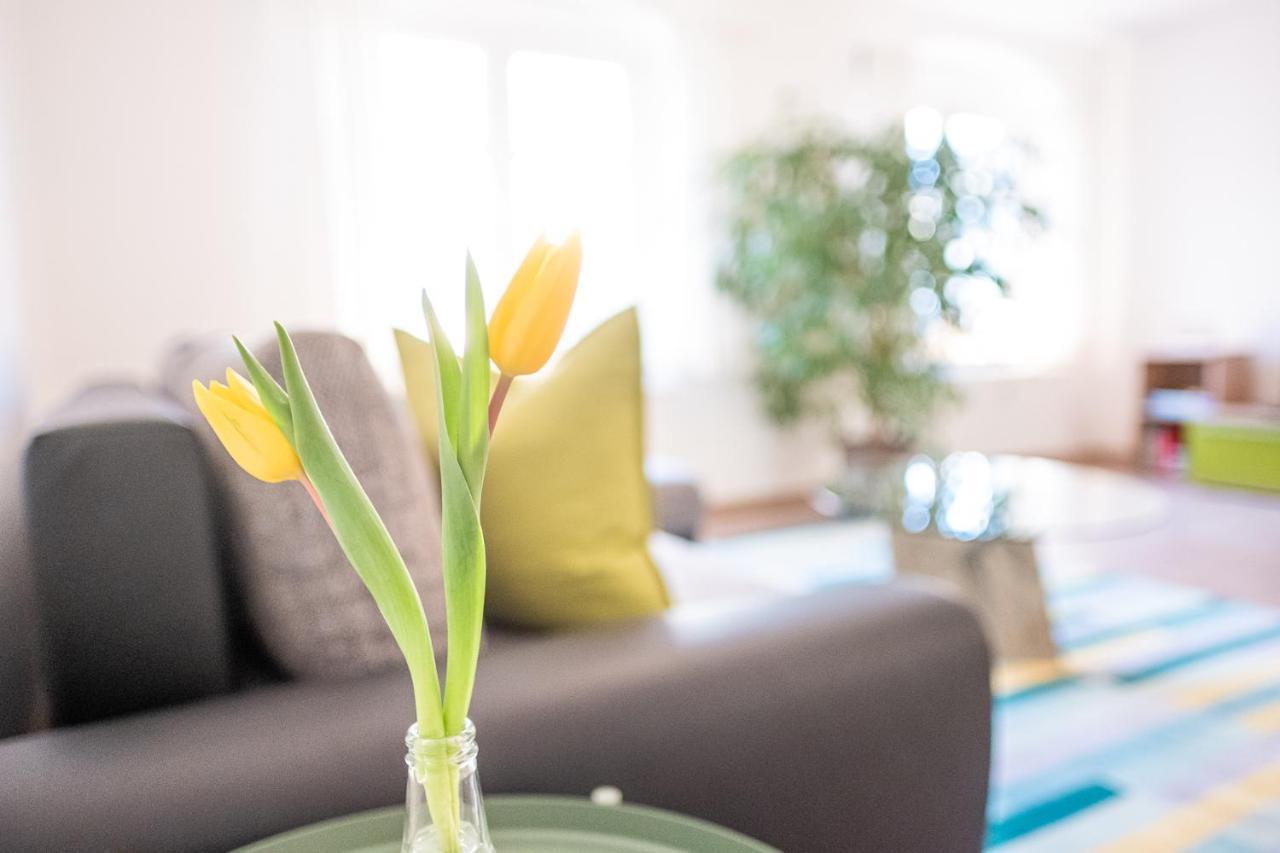 Helle Ferienwohnung Im Hinterhof * Dresden