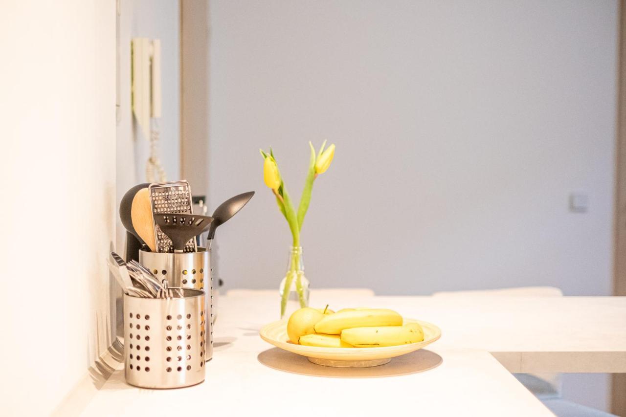 Helle Ferienwohnung Im Hinterhof Appartement Dresden