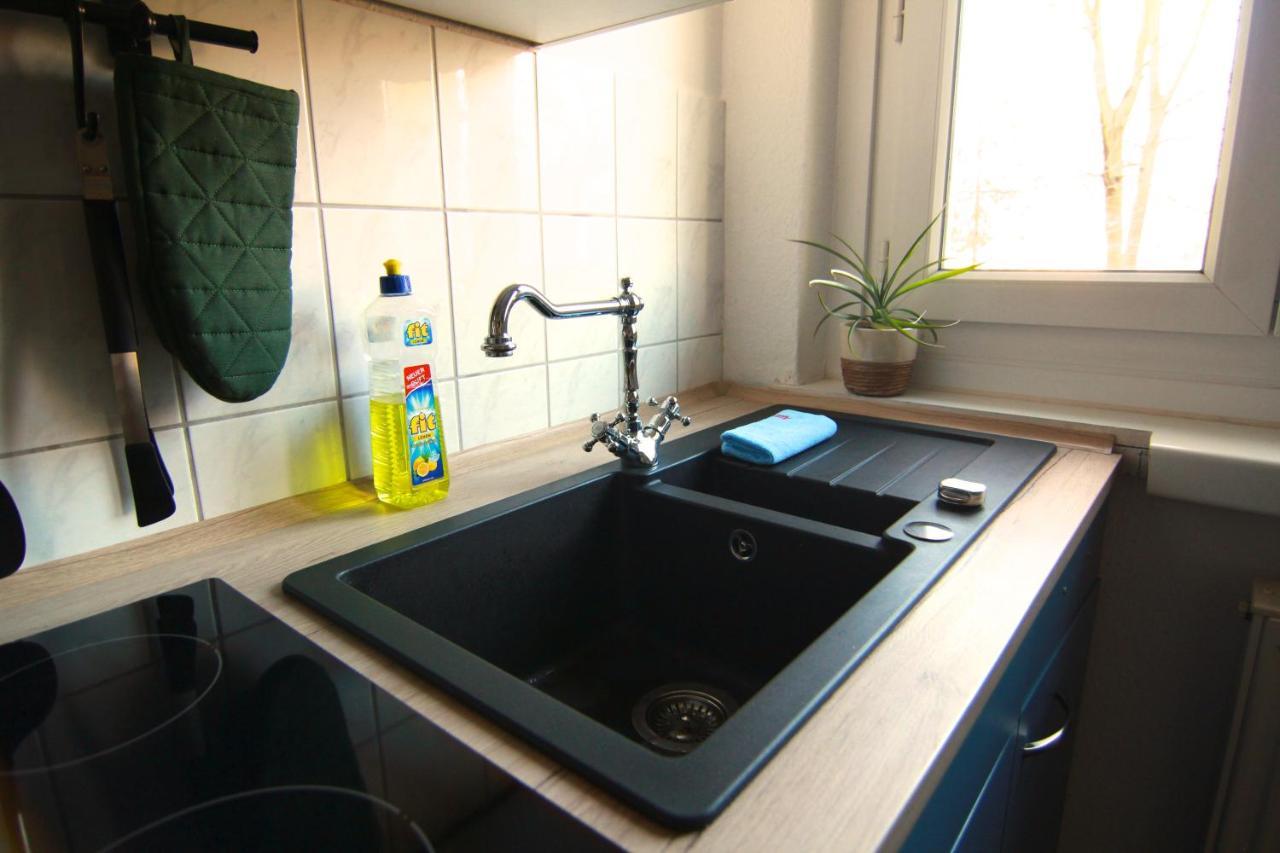 Whg./flat Am Grossen Garten In Dresden