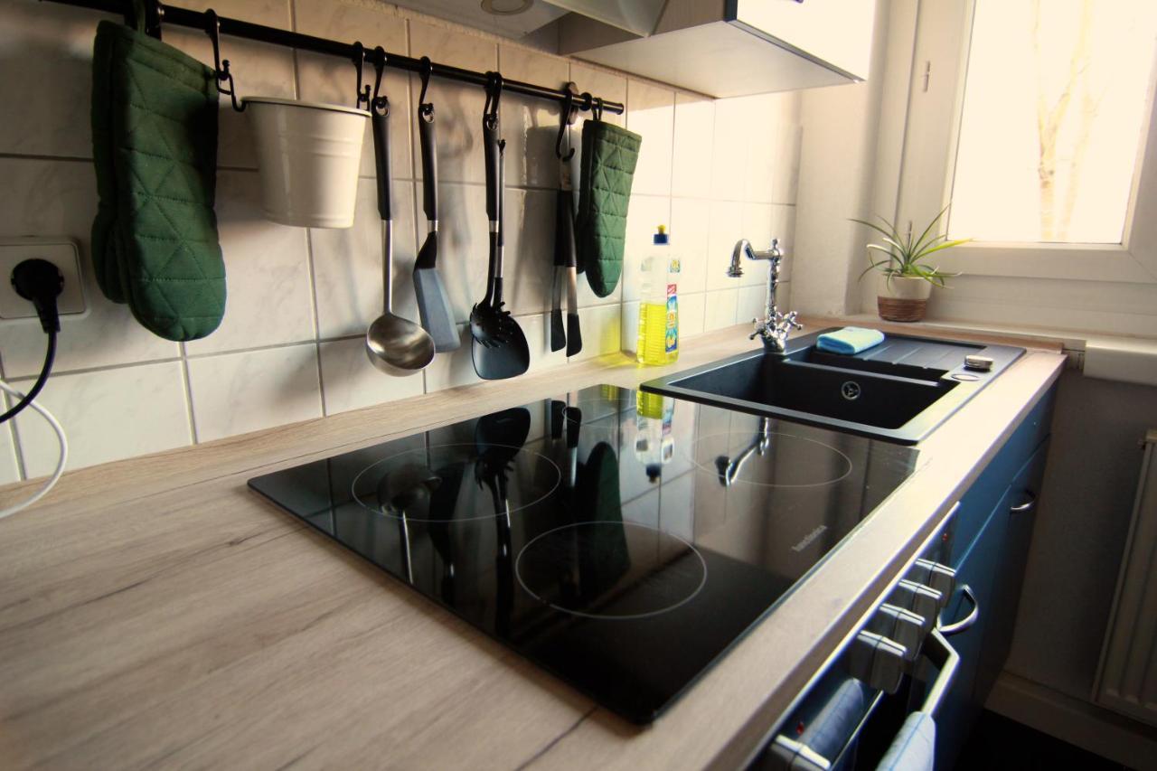 Whg./flat Am Grossen Garten In Apartment Dresden