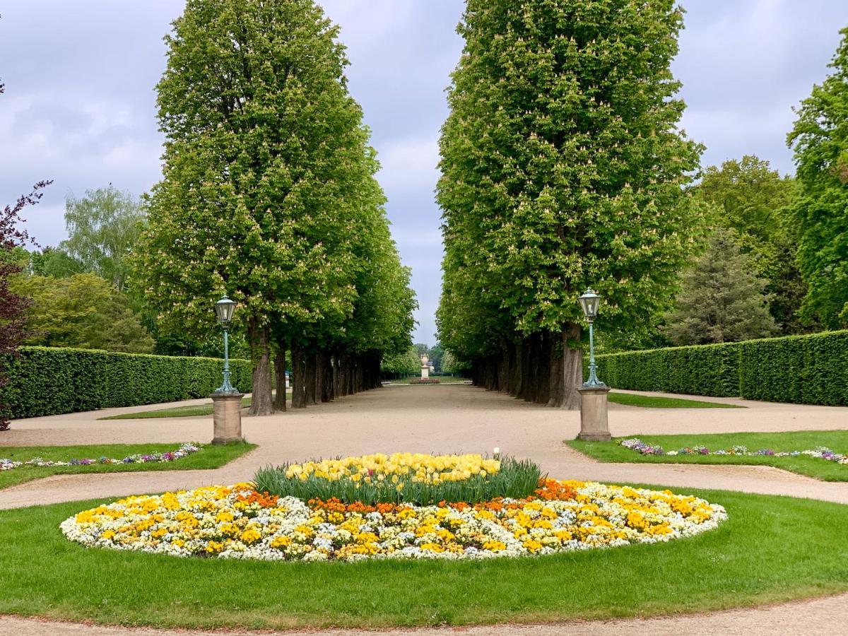 Bellavita * Dresden