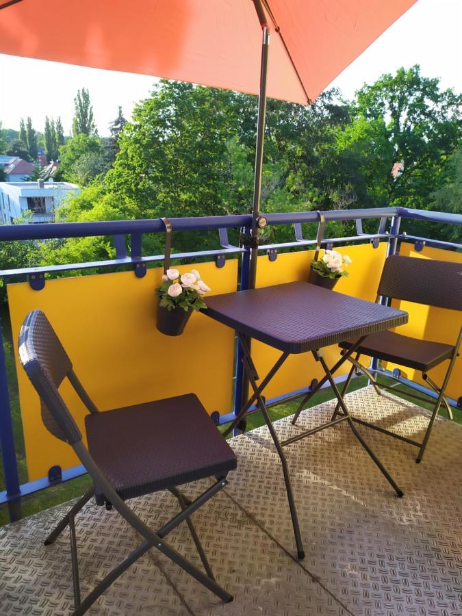 Appartement Helles Mit Balkon Am Grossen Garten Nahe Stadtzentrum Dresden