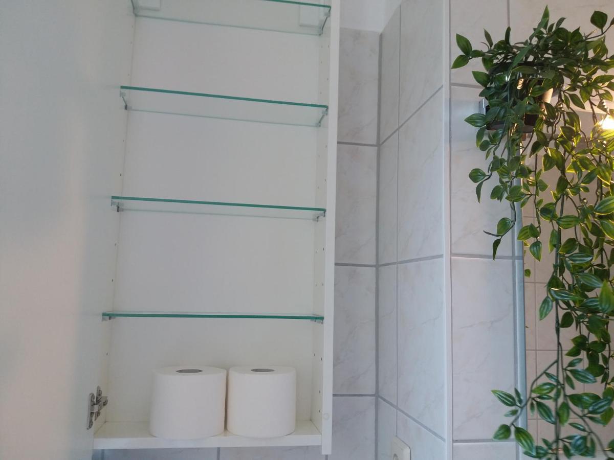Helles Mit Balkon Am Grossen Garten Nahe Stadtzentrum Appartement *