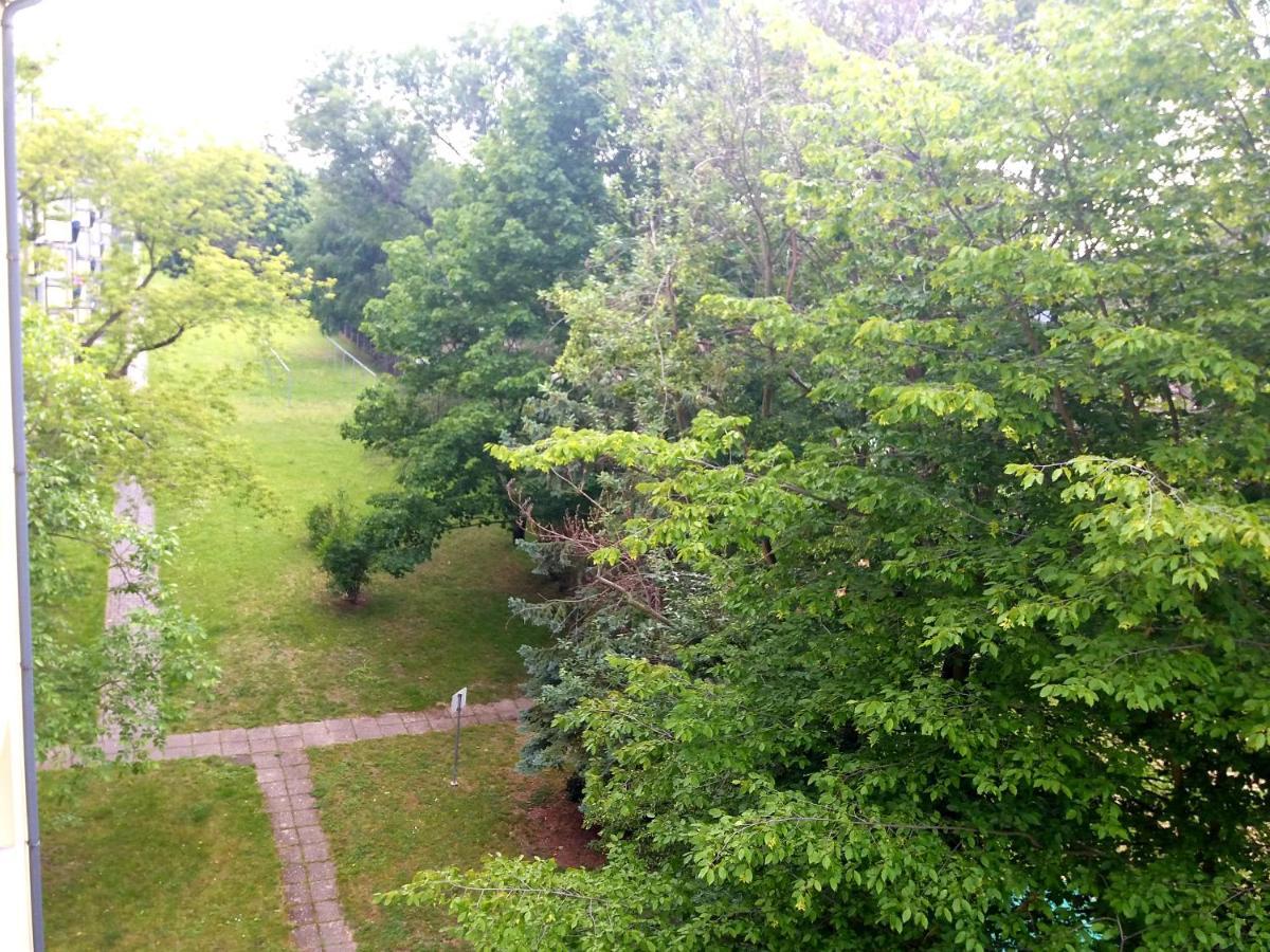 Helles Mit Balkon Am Grossen Garten Nahe Stadtzentrum