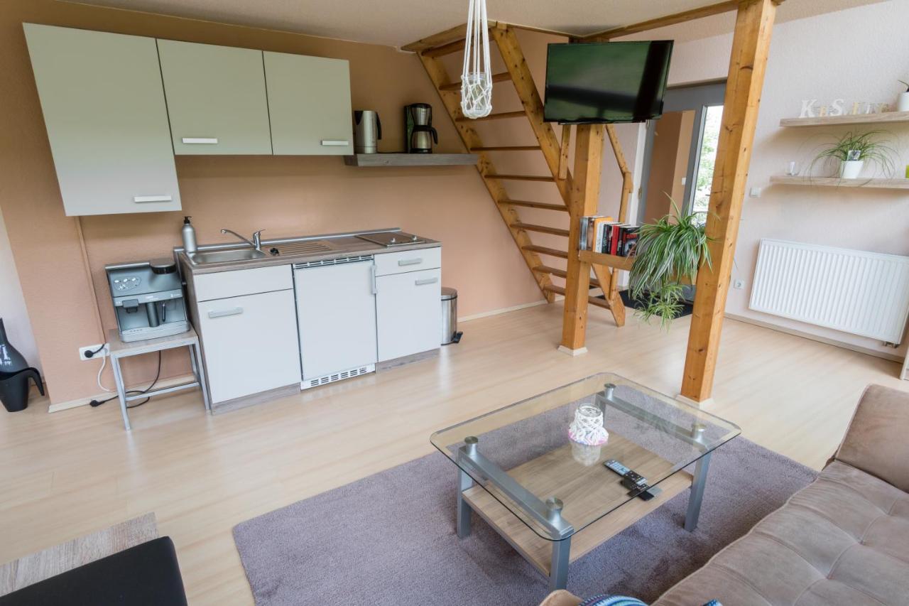 Apartment Am Kaitzer Weinberg Dresden