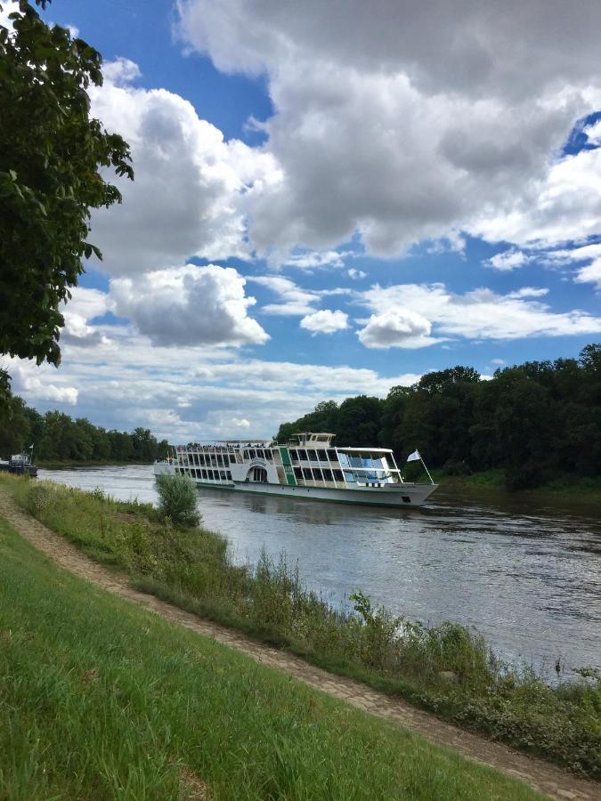 Panoramablick Auf Elbe Und Schlosser Apartment Dresden