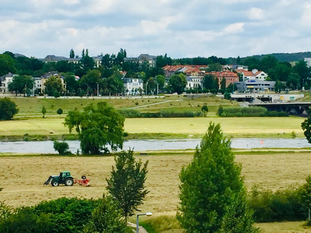 Panoramablick Auf Elbe Und Schlosser Dresden
