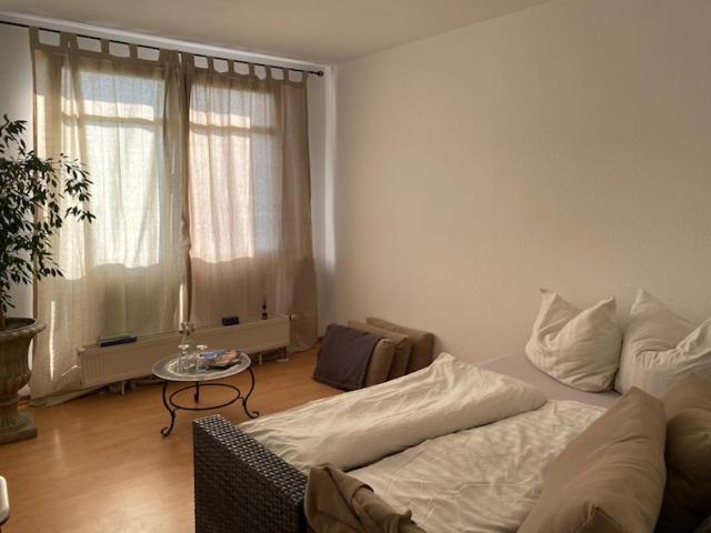 Panoramablick Auf Elbe Und Schlosser Apartment Dresden