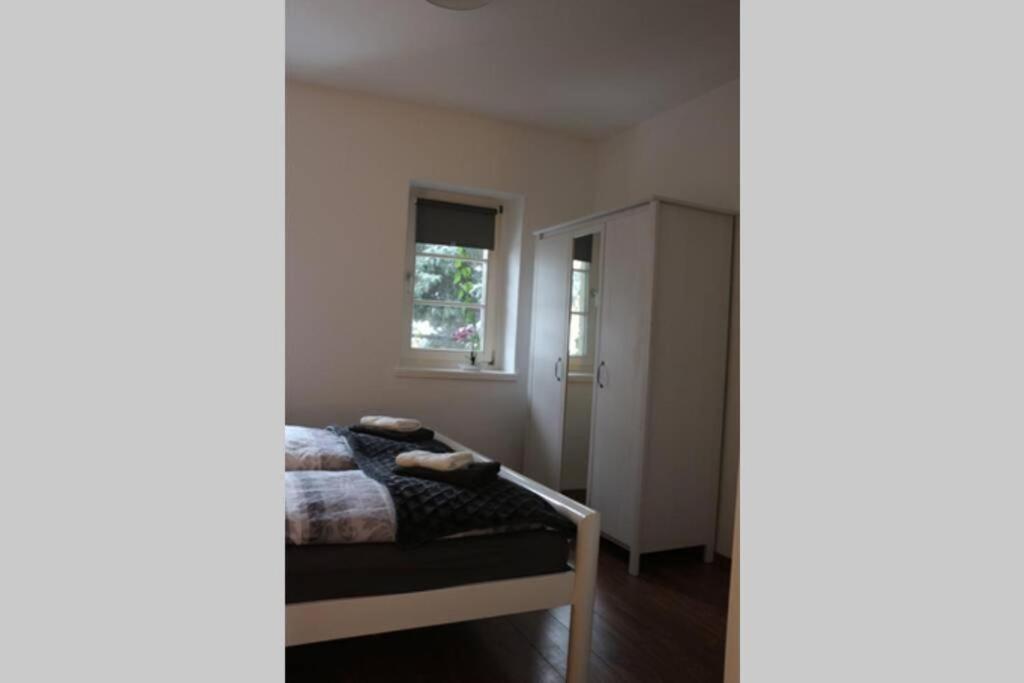 Appartement Zentralgelegene 4-raum Bis 8 Pers. Dresden