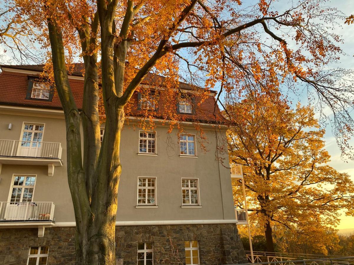 Und Kunst * Dresden