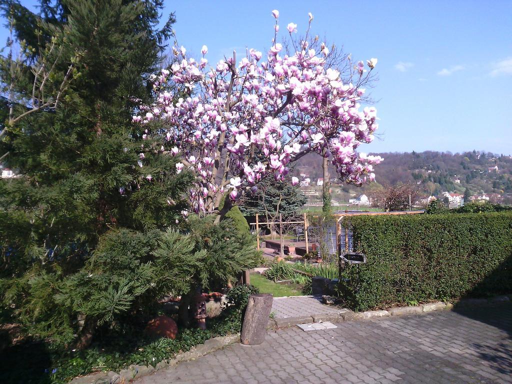 Alttolkewitzer Ferien-&privatzimmer Mrosk Gasthof Dresden