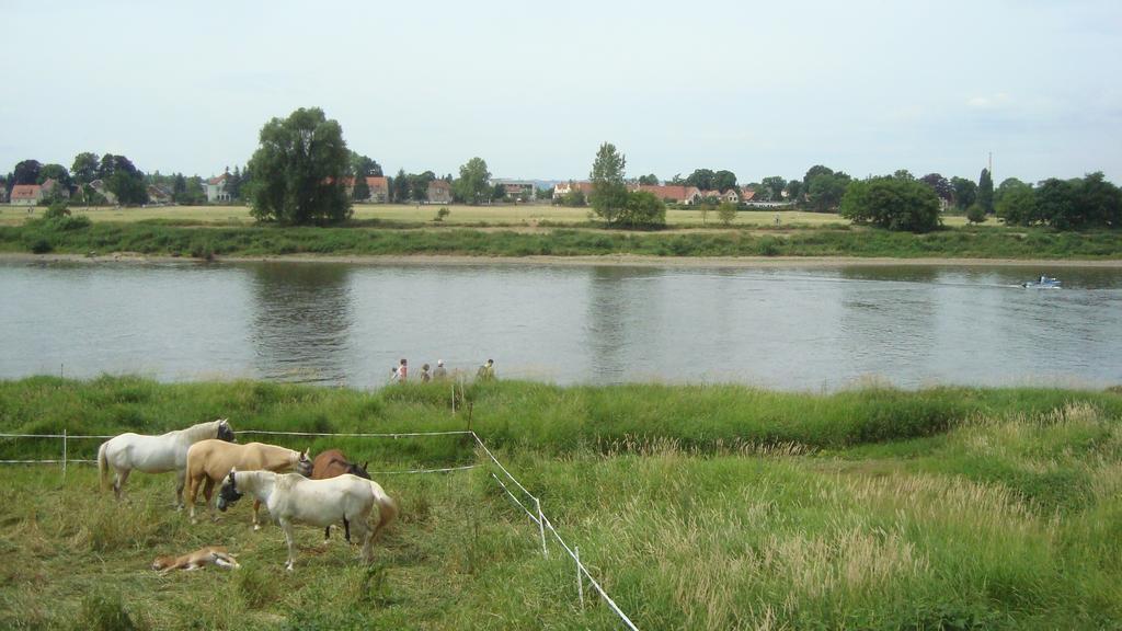 Alttolkewitzer Ferien-&privatzimmer Mrosk