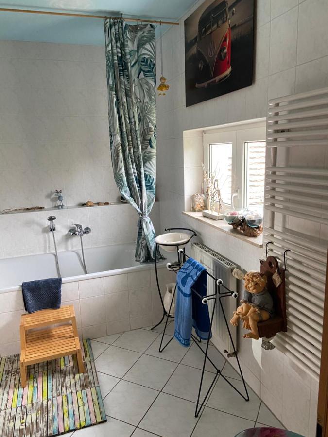 Apartment Dachterrassen Idylle Ueber Den Daechern Dresdens Dresden
