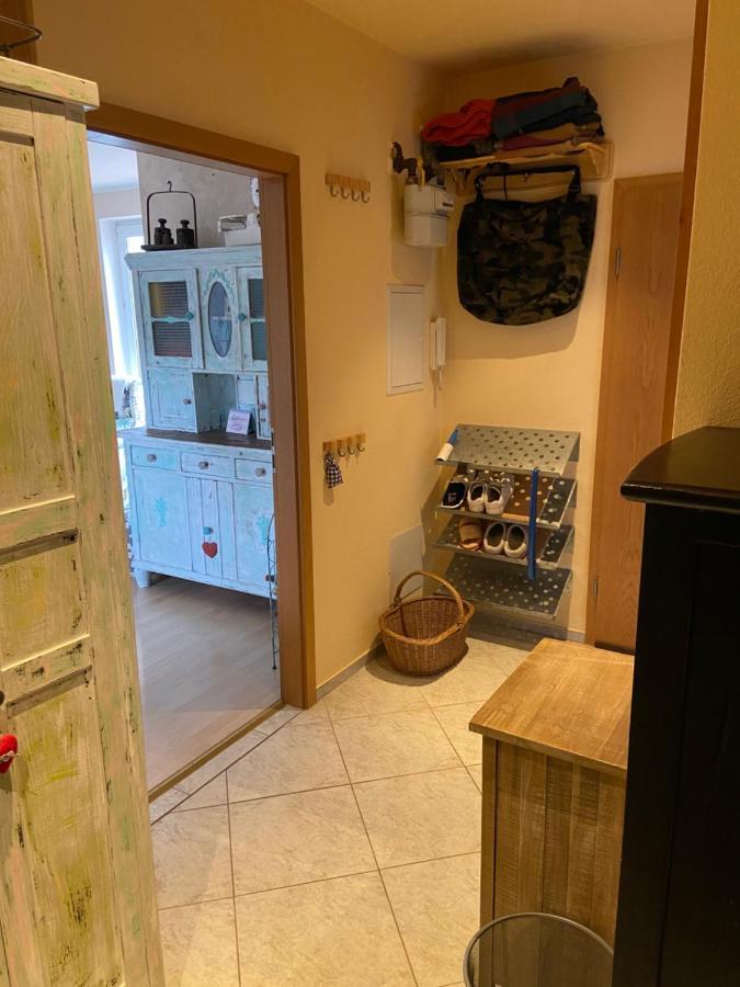 Dachterrassen Idylle Ueber Den Daechern Dresdens *