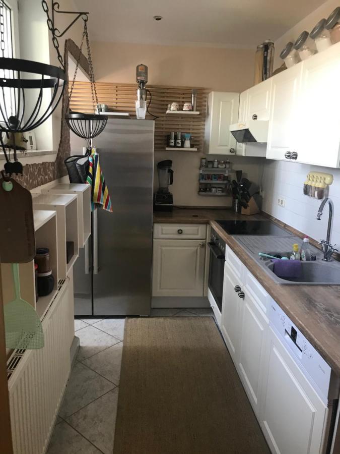 Apartment Dachterrassen Idylle Ueber Den Daechern Dresdens *