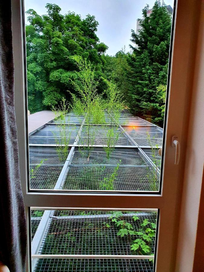 Papageiennest Apartment *