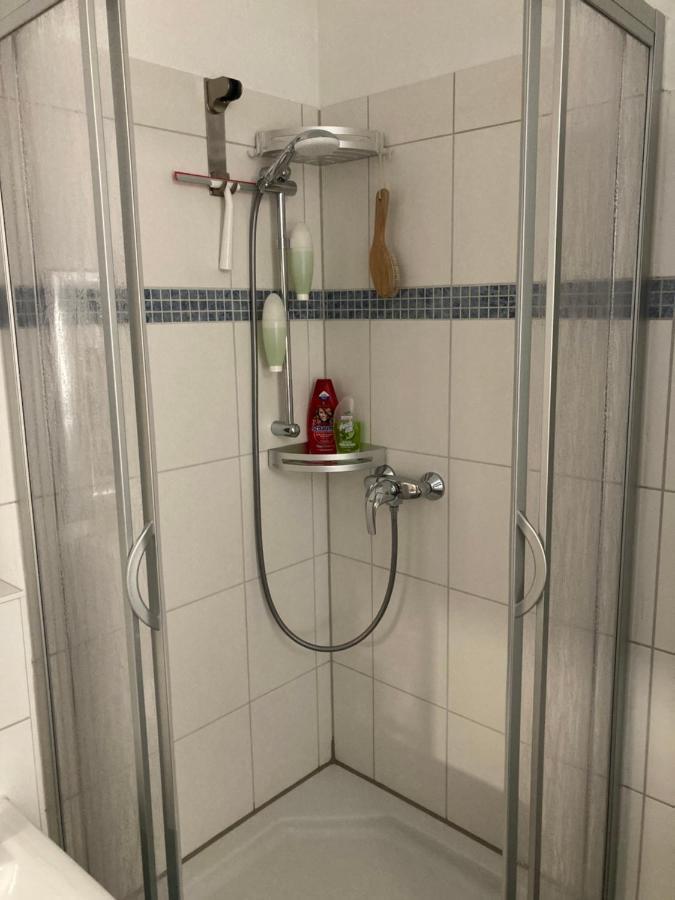 Premium Appartmartement Nichtraucher Apartment Dresden