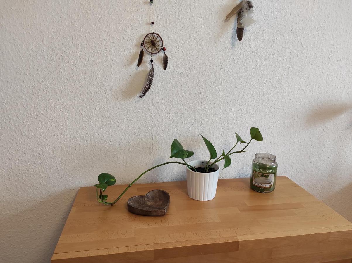 Appartement Traumhaftes Zwei-zimmer-apartment An Der Elbe