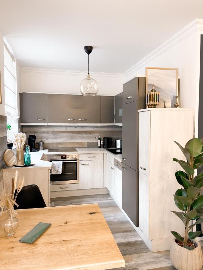 New Deluxe In Quiet Back House Apartment Dresden