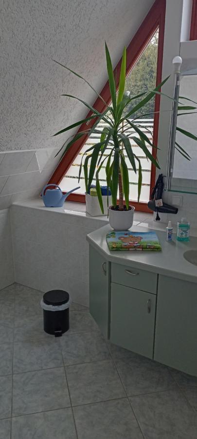 Winzerhaus Rissweg 15 Holiday home Dresden