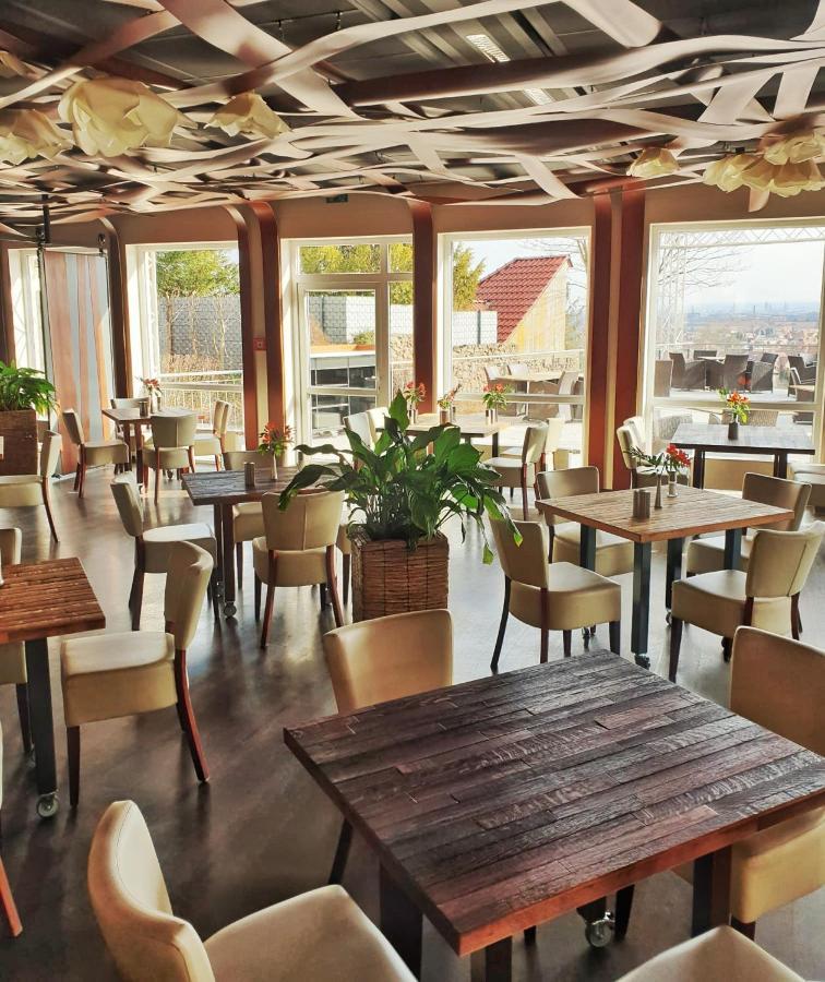 Bergwirtschaft Wilder Mann Und Restaurant 4* Dresden