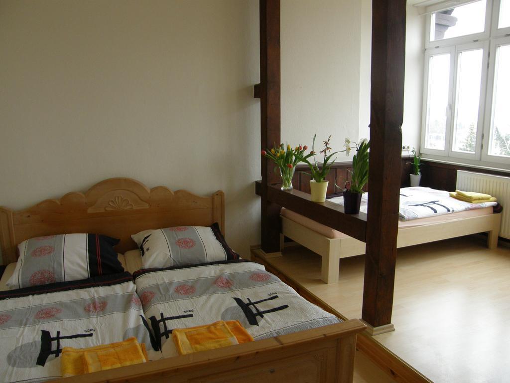 Bellevue Apartment Dresden