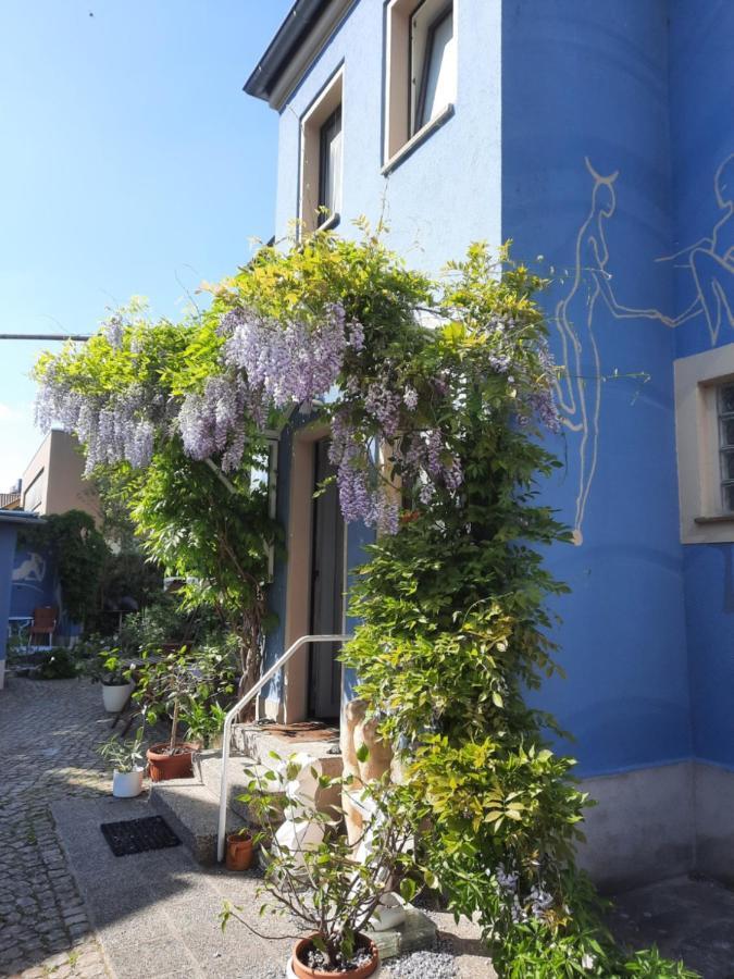 Kunstoase Am Blauen Haus Appartement