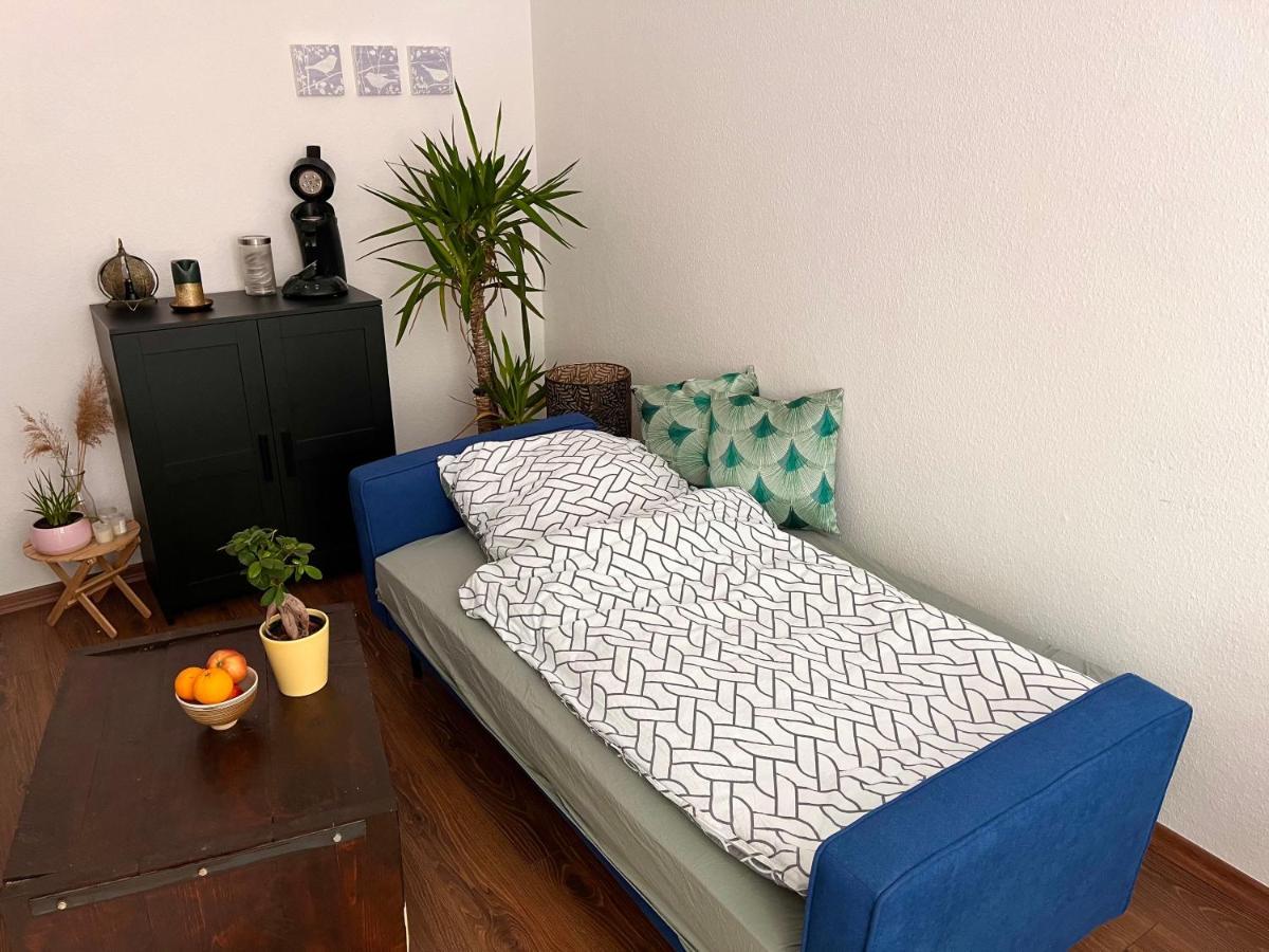 Traumhaftes Zwei-zimmer-apartment An Der Elbe * Dresden
