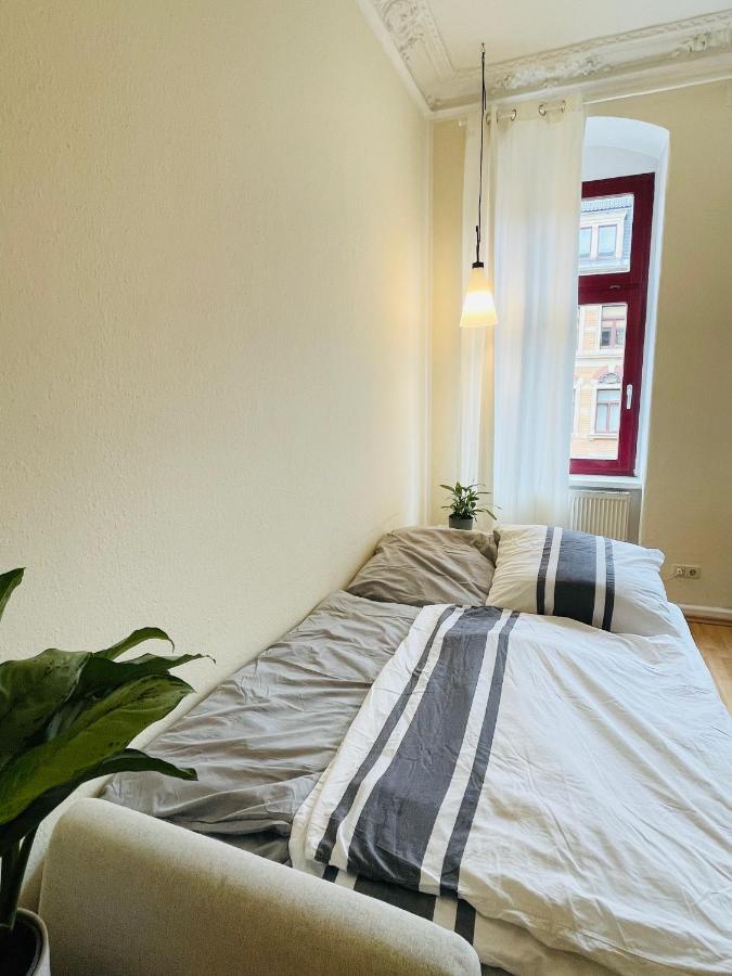 Appartement Stilvolle Altbauwohnung Am Rande Der Dresdner Neustadt Dresden