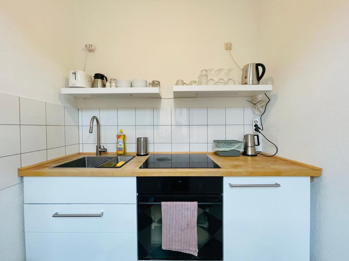 Stilvolle Altbauwohnung Am Rande Der Dresdner Neustadt *