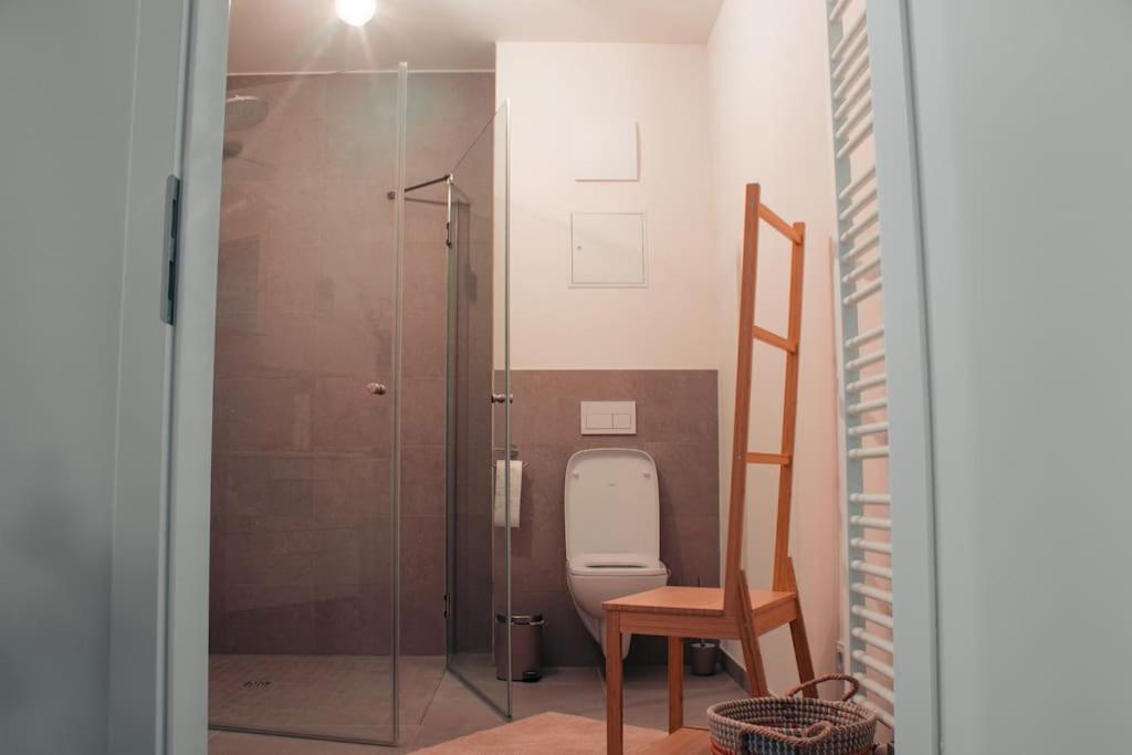 Appartement Modern 2 R-apartment/netflix/fitness/billiard Dresden