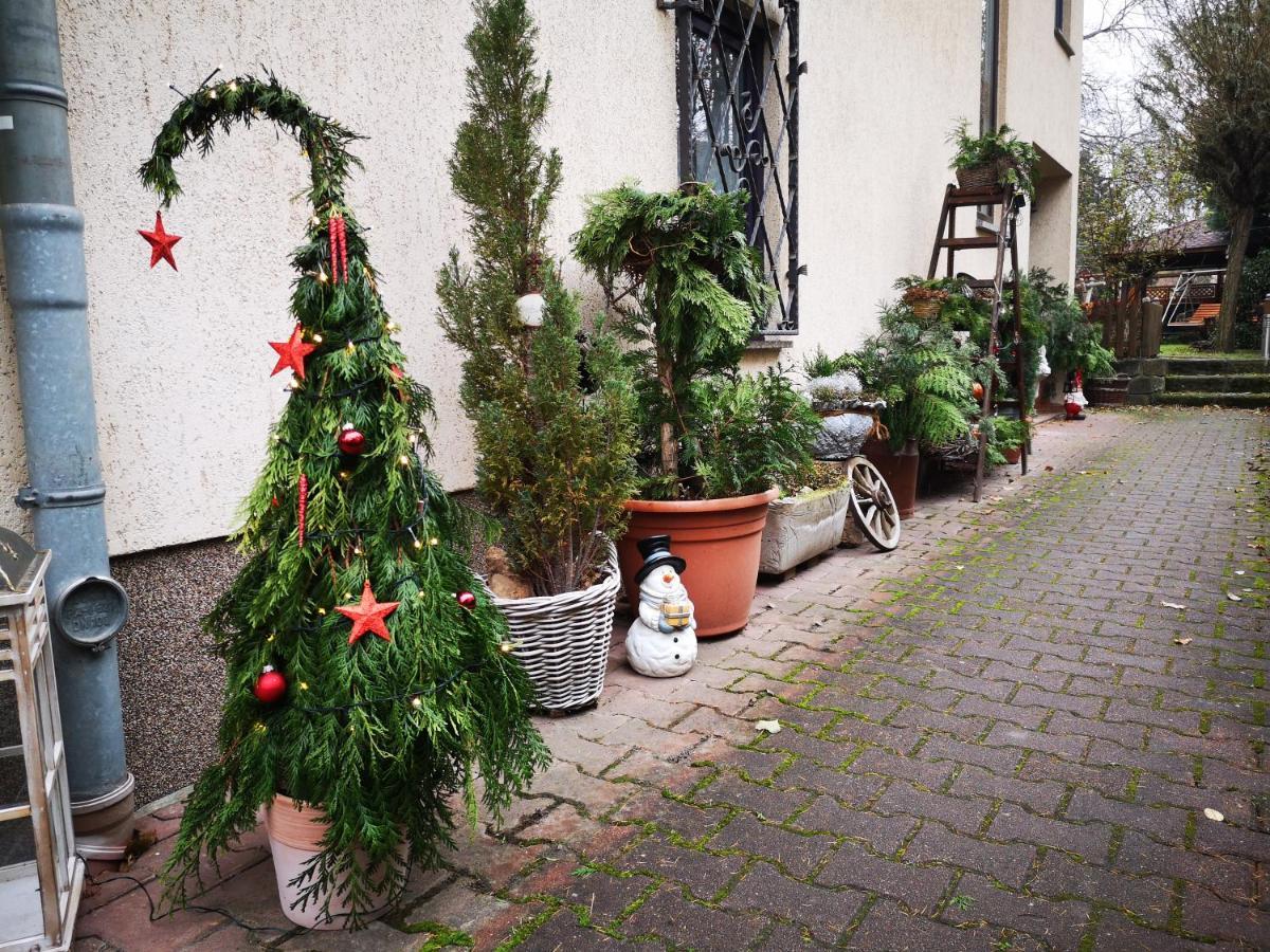Zum Wohlfuehlen Dresden