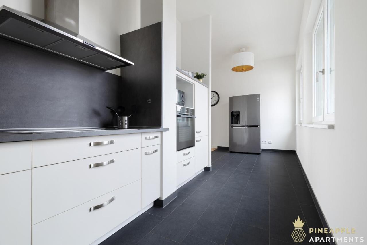 Pineapple Penthouse Am Zwinger - 162 Qm - 1x Free Parking * Dresden