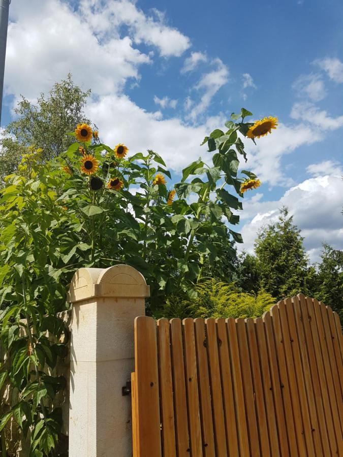 Zur Ausspanne Holiday home Dresden