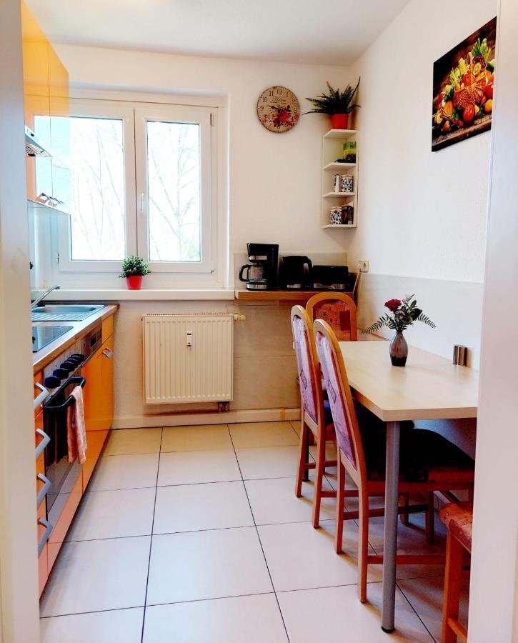 Helles Mit Balkon Am Grossen Garten Nahe Stadtzentrum Dresden