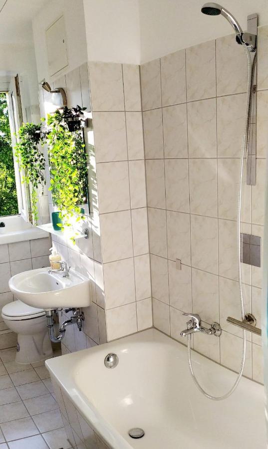 Helles Mit Balkon Am Grossen Garten Nahe Stadtzentrum Appartement