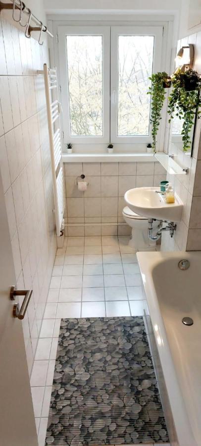 Helles Mit Balkon Am Grossen Garten Nahe Stadtzentrum Appartement Dresden