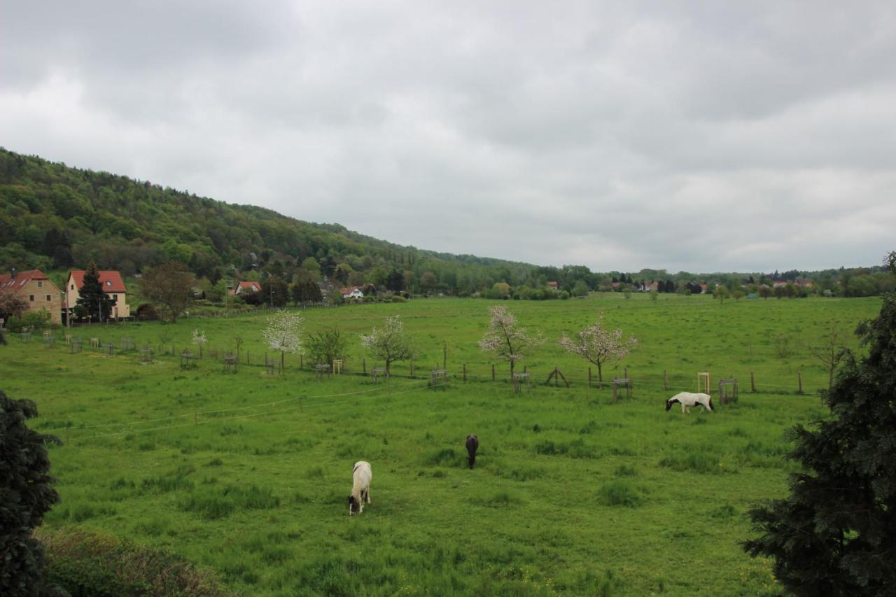 Stiegenstuebchen Am Weinberg Appartement *
