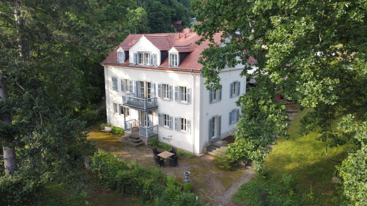 Im Park Wachwitzgrund
