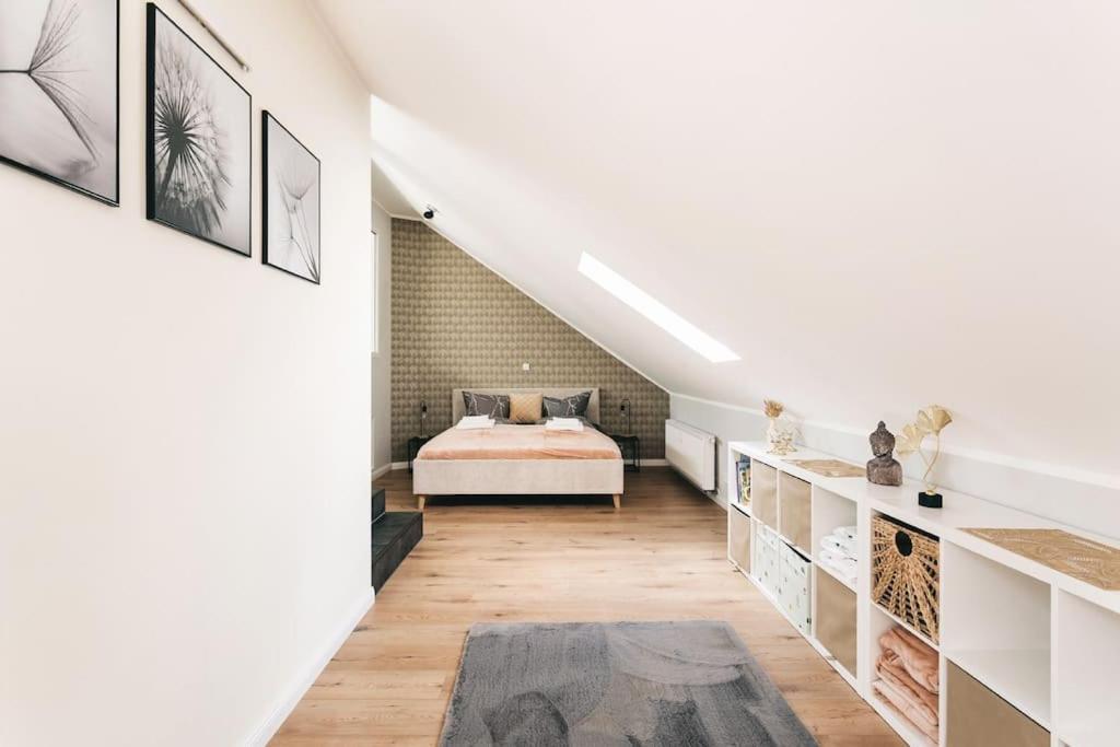 Appartement Neu! 100 Qm Im Zentrum Von Dresden