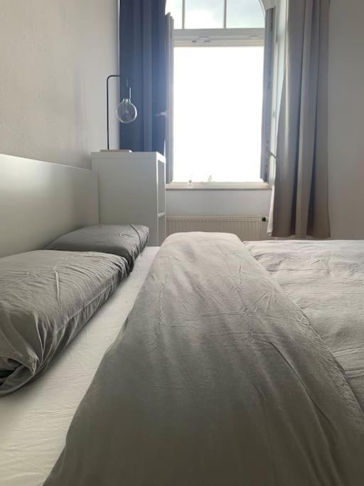 Apartment Traumwohnung An Der Elbe
