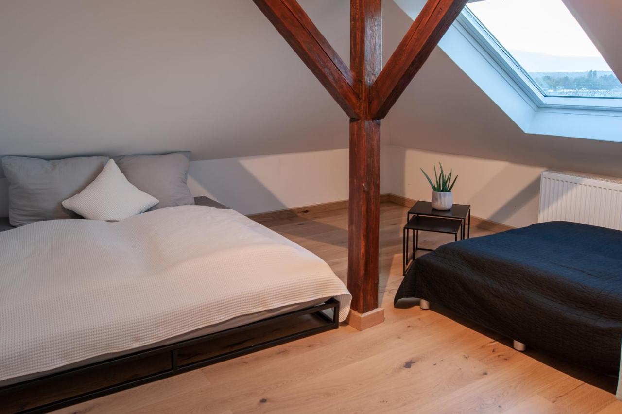 Apartment Grosse Familienfreundliche In Dresden