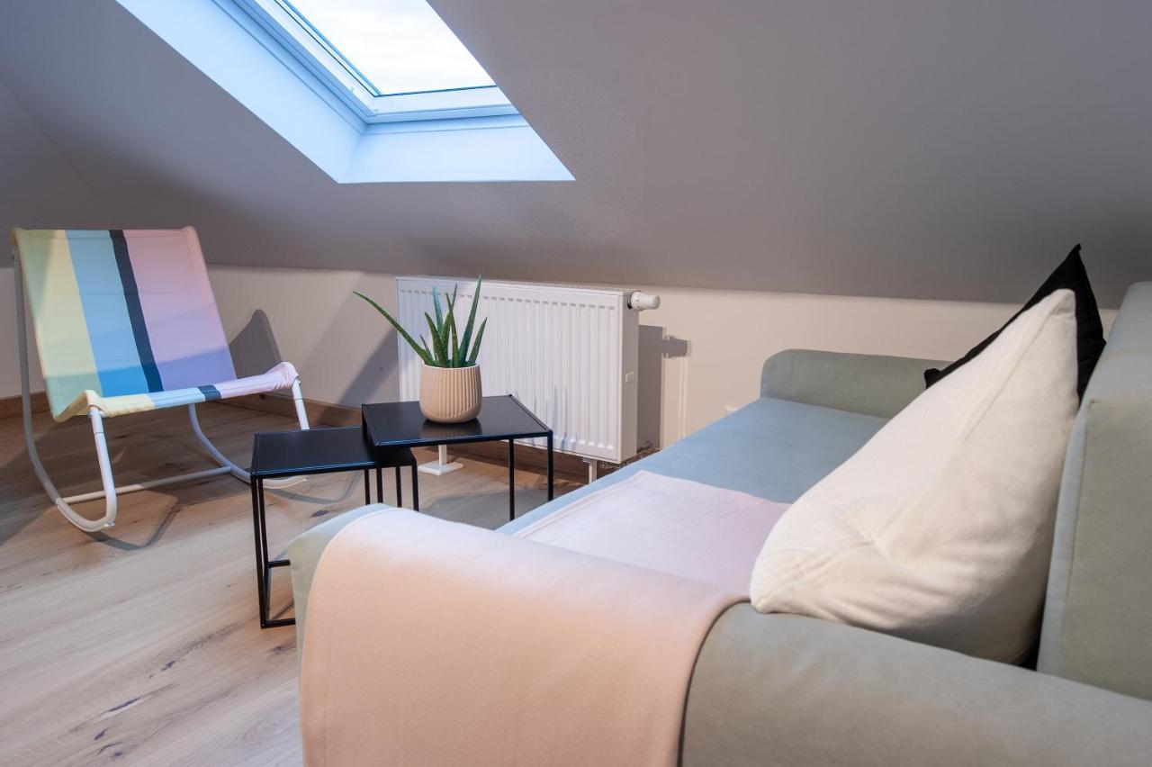 Apartment Grosse Familienfreundliche In Dresden
