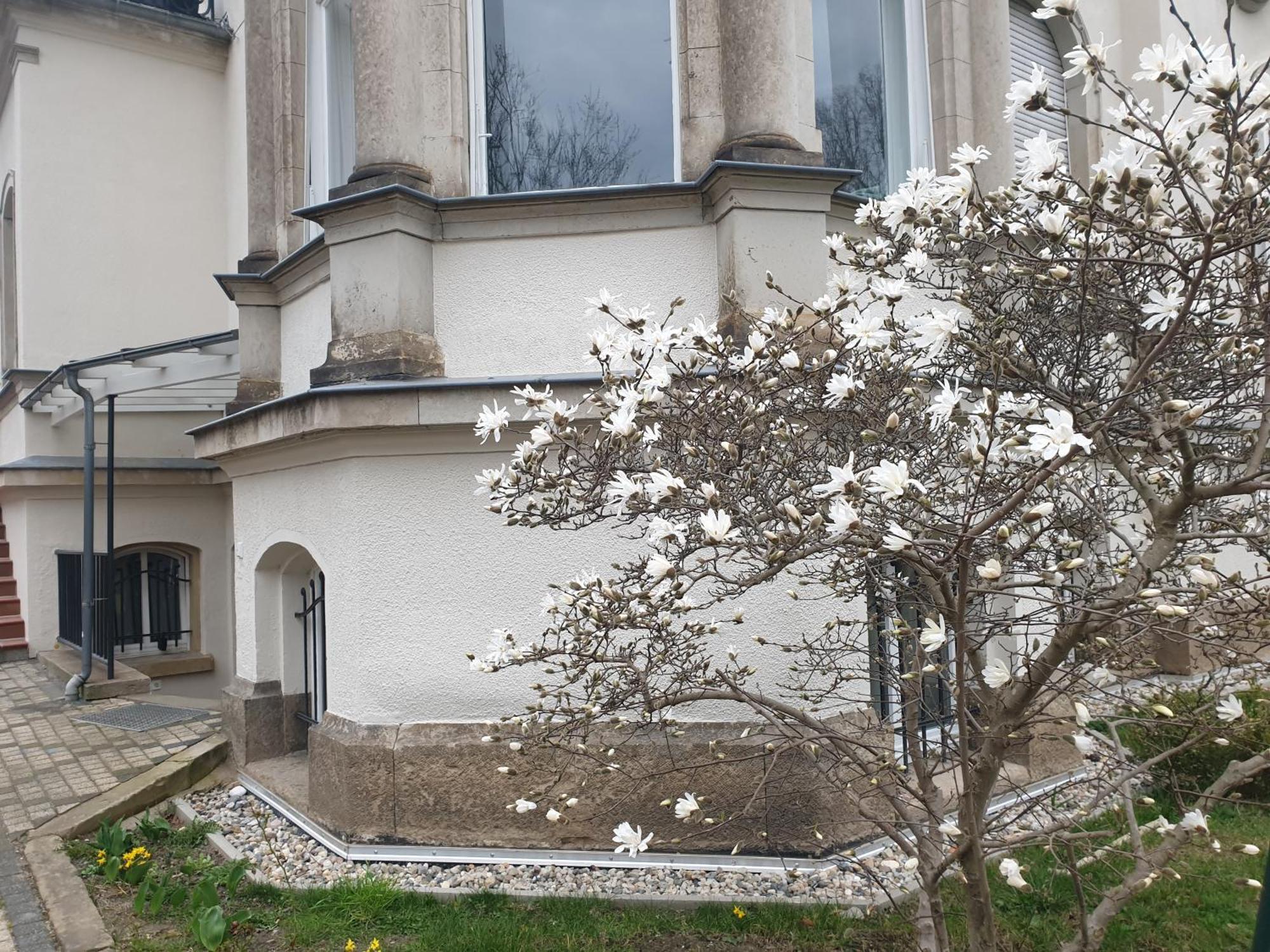 Wiener Palais Am Grossen Garten, Arbeitsplatz, Familie, 7 Pers, Smart-tv *