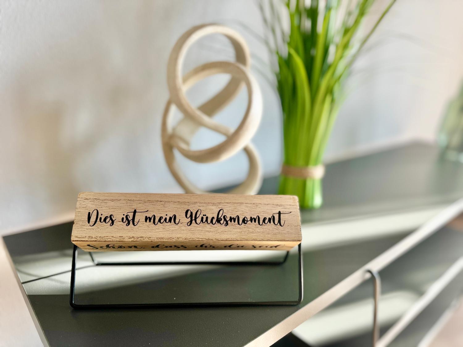 Apartment Elboase - Radfahrer Willkommen! Dresden
