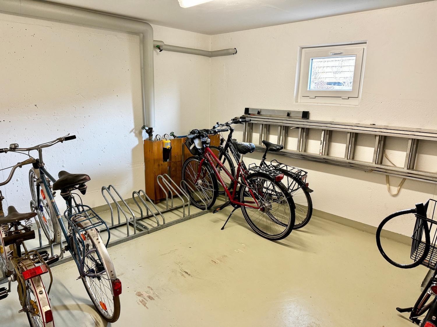 Elboase - Radfahrer Willkommen! * Dresden