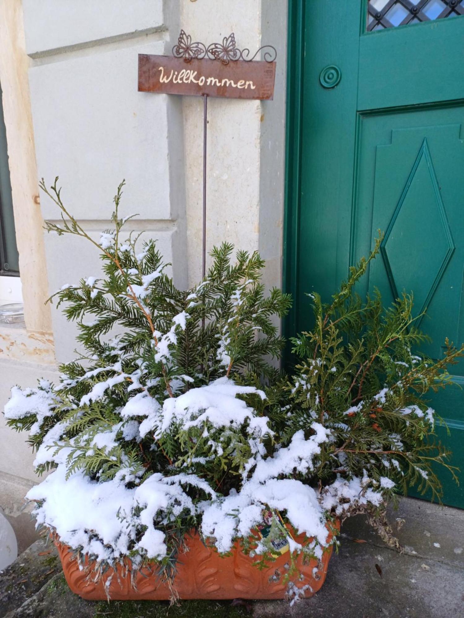 Plantagengut Hosterwitz Gasthof